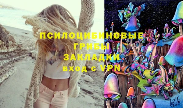ПСИЛОЦИБИНОВЫЕ ГРИБЫ Горняк
