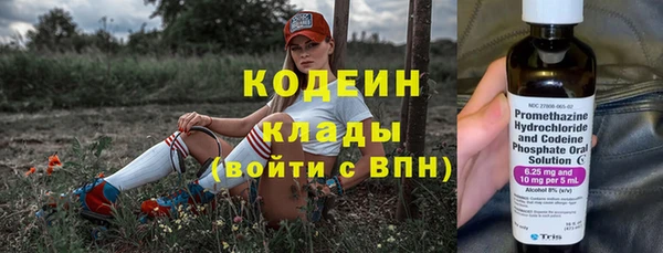 ПСИЛОЦИБИНОВЫЕ ГРИБЫ Горняк