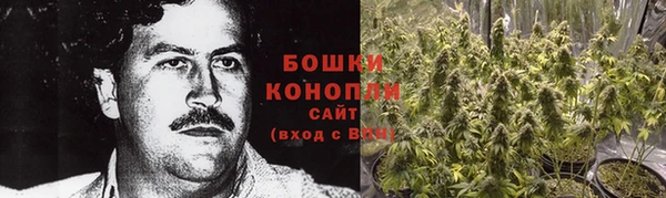 трава Наволоки