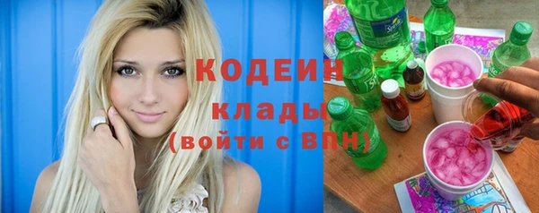ПСИЛОЦИБИНОВЫЕ ГРИБЫ Горняк